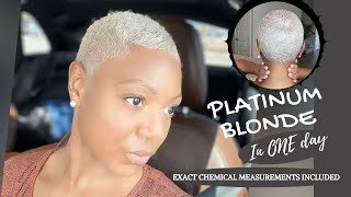 Platinum Blonde  How to Bleach Dark Brown Black to Platinum Blonde  Save Money and Do it Yourself [upl. by Moody972]