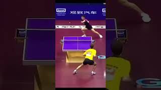 Fan Zhendong vs Timo Boll 🤩🤩shorts fanzhendong timoboll [upl. by Lachish]