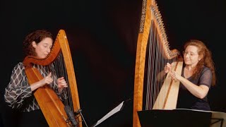 Celtic Harp Duo quotFrom Silence to the Heartquot quotAus der Stille ins Herzquot feat Eva Curth [upl. by Suicul209]