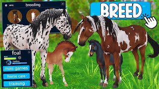 BREEDING HORSES IN STAR STABLE [upl. by Nivag]