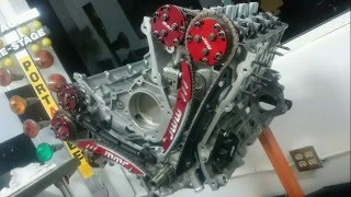 8000 RPM 50 COYOTE FORD ENGINE ON DYNO 515RWHP [upl. by Stepha]