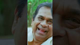 Brahmanandam Hilarious Scene  Thadaka Movie  Naga Chaitanya  Sunil  Tamannaah  YTShorts [upl. by Fitts507]