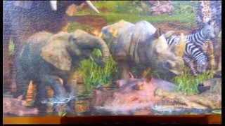 3000 Teile Ravensburger Puzzle Tiere an der Wasserstelle [upl. by Lust]