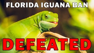 USARK FL Announces Defeat of Iguana Ban [upl. by Noonan]