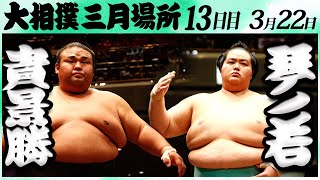 大相撲 貴景勝ー琴ノ若 ＜令和６年三月場所・１３日目＞SUMO [upl. by Yennek882]