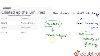 Ciliated epithelium lines [upl. by Kimbell]