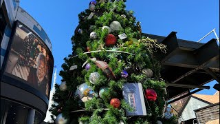 🎄LIVE from Disney Springs [upl. by Aneekal]