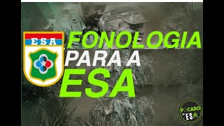 ESA  Fonologia para a prova da ESA  Parte1 I FOCADONAESA [upl. by Corwun243]