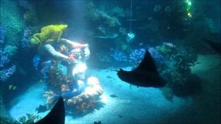 Atlantis Submarine Voyage onride HD POV Legoland Windsor [upl. by Tannie]