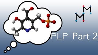 Transamination Mechanism PART 2 Chemistry of the PLP Coenzyme [upl. by Jacobah]