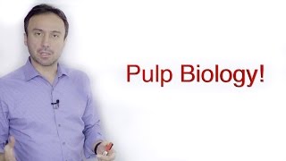 Pulp Biology A Basic Crash Course [upl. by Ahsar]