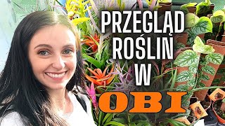 Przegląd roślin w OBI🧡 Nowości w Pepco i Action 🌱Roślinki Gosi 🌱 Gosia i Miłosz [upl. by Behrens]