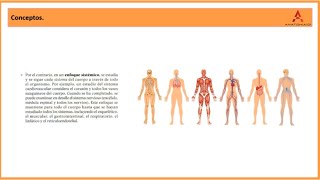 2 Anatomía regional y sistémica Clase de Anatomía Humana de Gray [upl. by Sayles]