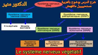 Anatomie et physiologie du systeme nerveux autonome vegetatif شرح بالعربية [upl. by Keon428]