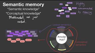 Semantics and the psycholinguistic model  what do we mean by quotsemanticsquot [upl. by Ozen660]