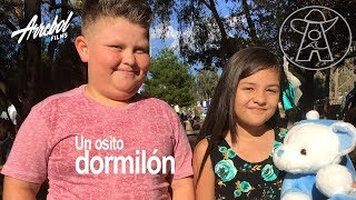 Conjunto Agua Azul  Un Osito Dormilón ♪ Vídeo Oficial 2017 [upl. by Illoh]