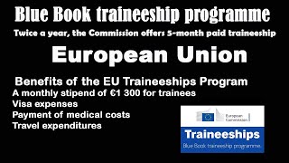 Blue Book Traineeship Program  Paid Training in Europe [upl. by Allemahs]