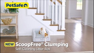 Say Goodbye to Scooping with the ScoopFree® Clumping Litter Box [upl. by Tybi]