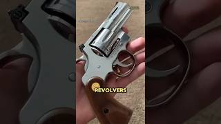 Colt Python Preview [upl. by Oremoh544]