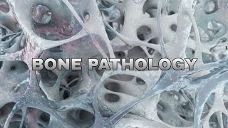 Bone pathology 3rd lecture [upl. by Yenhpad]