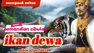 eps 06💥 IKAN DEWA CIBULAN ⁉️ MITOS ATAU FAKTA  APA HIBUNGANNYA DENGAN SILIWANGI ⁉️mitos fakta [upl. by Olegna]