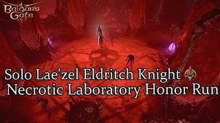 Solo Laezel Eldritch Knight Necrotic Laboratory Honor Run Part 29 [upl. by Milde]