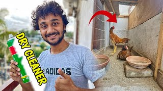 How to Clean a Bird Cage Safely at Home BIRD CARE😍 [upl. by Igic579]