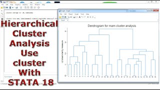 Hierarchical Cluster Analysis Use cluster With STATA 18 [upl. by Nattie]