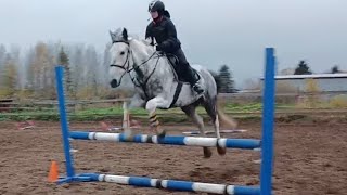 Супер тренировка 091024 г💯💥🔥🐎🐴 [upl. by Ettelocin582]