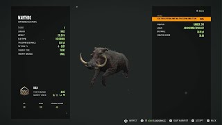 Warthog Attack theHunter Call of the Wild [upl. by Rasla]