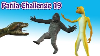 Patila Challenge 19 Patila  Missed The Stranger Funny Gorilla amp Anaconda Animated Short Film [upl. by Cohleen]