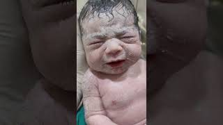 New born baby after birth viralvideo cutebaby littleprince newbornbaby [upl. by Zzahc]