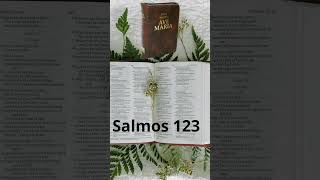 Bíblia Ave Maria ✨salmos 123 🌿 [upl. by Niajneb106]