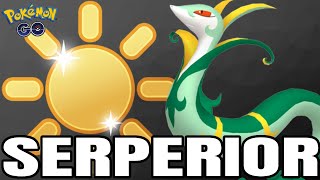 Serperior Helped me CLIMB in the Sunshine Cup for Pokemon GO Battle League [upl. by Ecinaj]