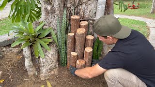 JARDIM EM TRONCO DE ÁRVORE Decore seu Quintal com Lindas Ideias [upl. by Ykcir]