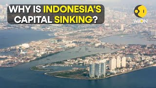 Jakarta is sinking Can the Indonesian capital be moved  WION Originals [upl. by Azarcon]