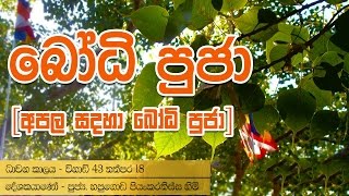 Bodhi Poojawa Kavi Gatha  Buddhist Puja Chantings By Hapugoda Priyankara Thissa Thero [upl. by Acirtap606]