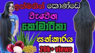 Hair treatment for girls by aloe vera  long hair in one yearsinhala [upl. by Ial]