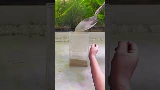 Making a nano nano fish tank aquarium subscribe viral [upl. by Ecidnac]