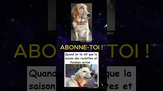 TAS RI ABONNE TOI 😂 all memes random pourtoi funny humour abonnetoi viral video shorts [upl. by Sparke418]