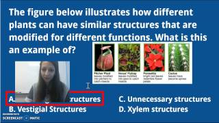 Lasseter AP Bio 24 Speciation amp Phylogeny [upl. by Ahtilat]