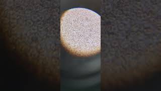 Laboratory  microscopic 😮 shortvideo laboratory trending video viralvideo [upl. by Gertrudis]