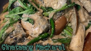 GINATAANG MACKEREL  MACKEREL WITH COCONUT MILK  MACKEREL RECIPE [upl. by Doe474]