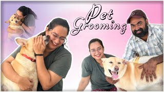 A day with ruby our pet  gowri krishnan pet care [upl. by Tammara]