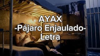 Pajáro Enjaulado Ayax Letra [upl. by Radu]