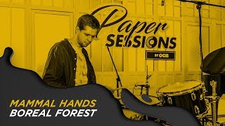 MAMMAL HANDS  BOREAL FOREST OCBPaperSessions [upl. by Costin]