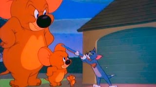 Tom and Jerry  Episode 74  Jerry and Jumbo 1951 [upl. by Dragon]