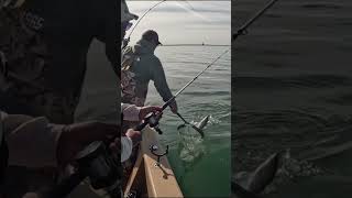 A mix of our Lake Texoma fishing adventures fishing laketexoma bassfishing compilation fish [upl. by Robinette]