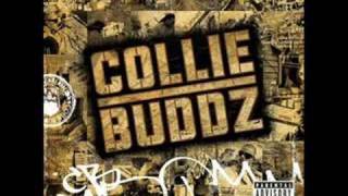 Collie Buddz ft Paul Wall  What a feeling [upl. by Lettie179]