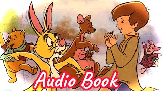 Pooh and Tiggers Bounce Audio Book [upl. by Yrffoeg899]